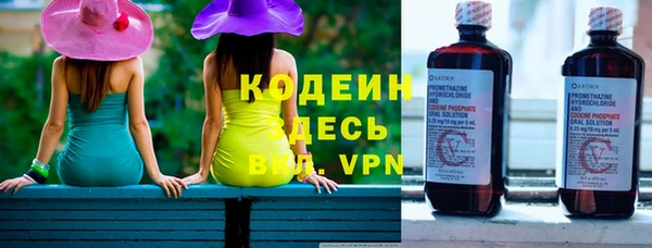 прущие грибы Белокуриха