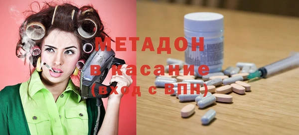 прущие грибы Белокуриха