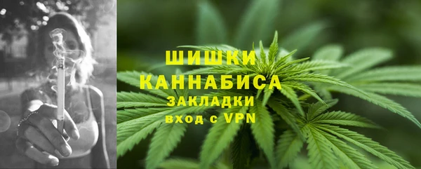шишки Белоозёрский