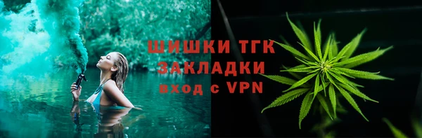прущие грибы Белокуриха