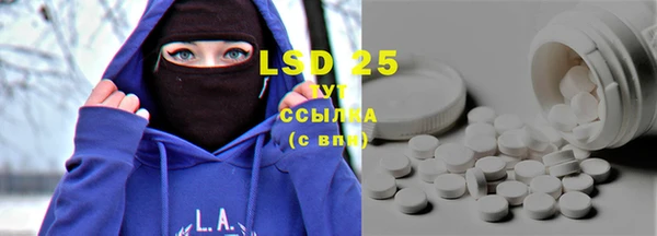 прущие грибы Белокуриха