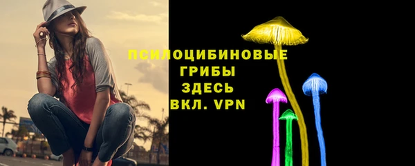 прущие грибы Белокуриха