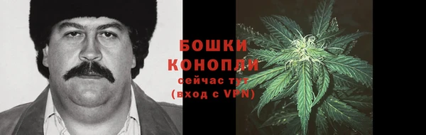прущие грибы Белокуриха