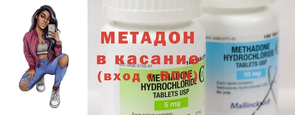 шишки Белоозёрский