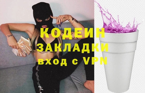 шишки Белоозёрский