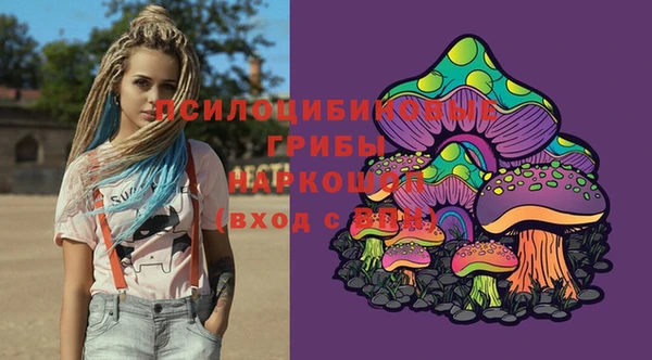 шишки Белоозёрский
