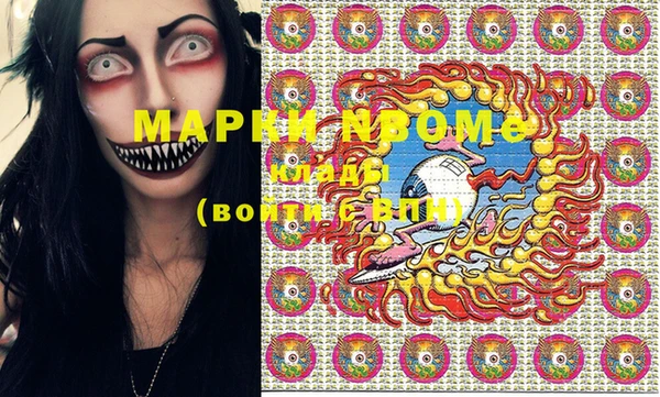 шишки Белоозёрский