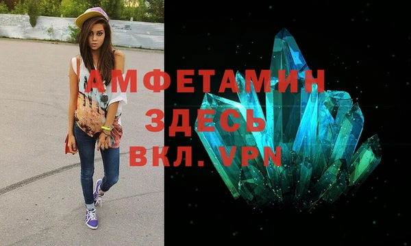 прущие грибы Белокуриха