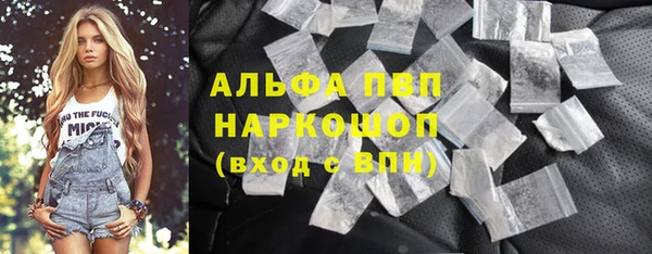 прущие грибы Белокуриха