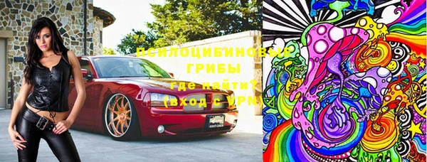 прущие грибы Белокуриха