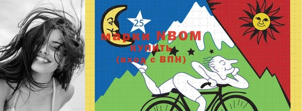 шишки Белоозёрский