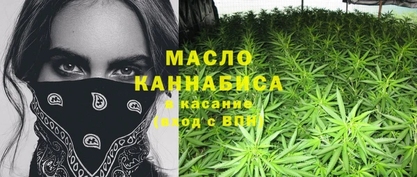 шишки Белоозёрский