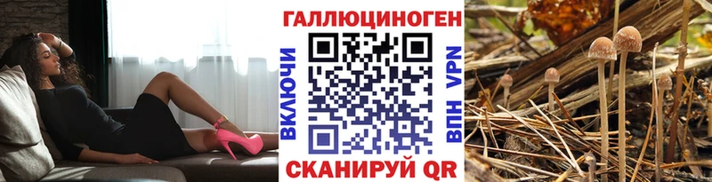 omg ССЫЛКА  Дагестанские Огни  Галлюциногенные грибы мицелий 